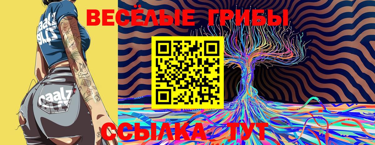 Галлюциногенные грибы ЛСД Вологда