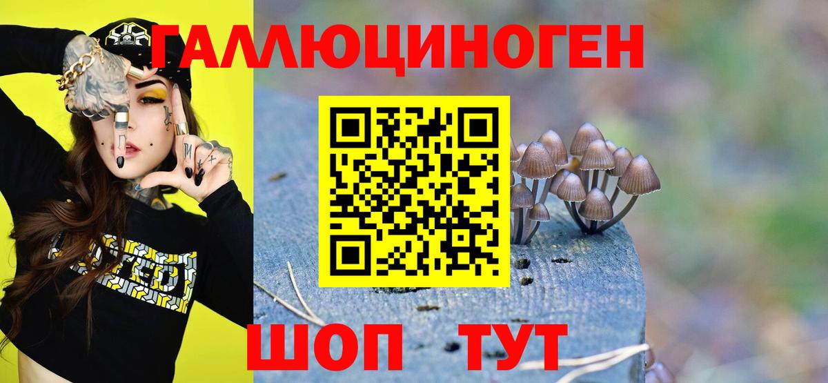 Вологда  Псилоцибиновые грибы мицелий  Вход с VPN 